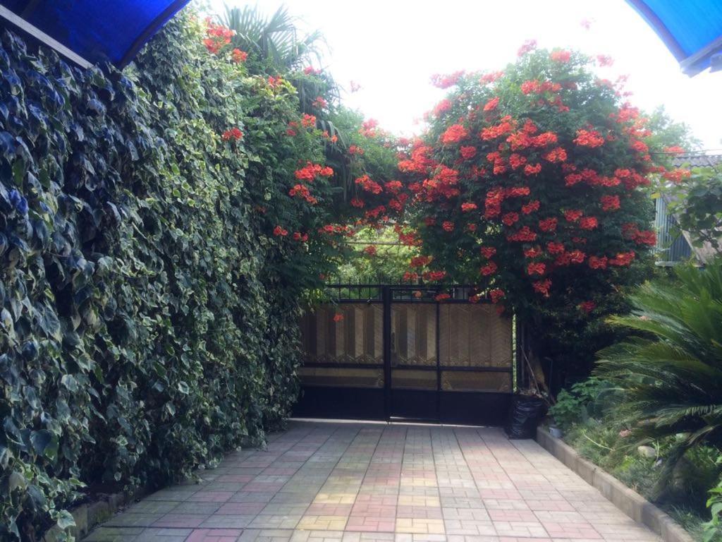 Гостевой Дом У Левы Hotel Gagra Esterno foto