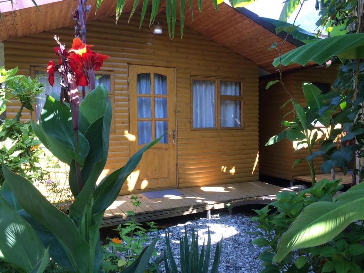 Гостевой Дом У Левы Hotel Gagra Esterno foto
