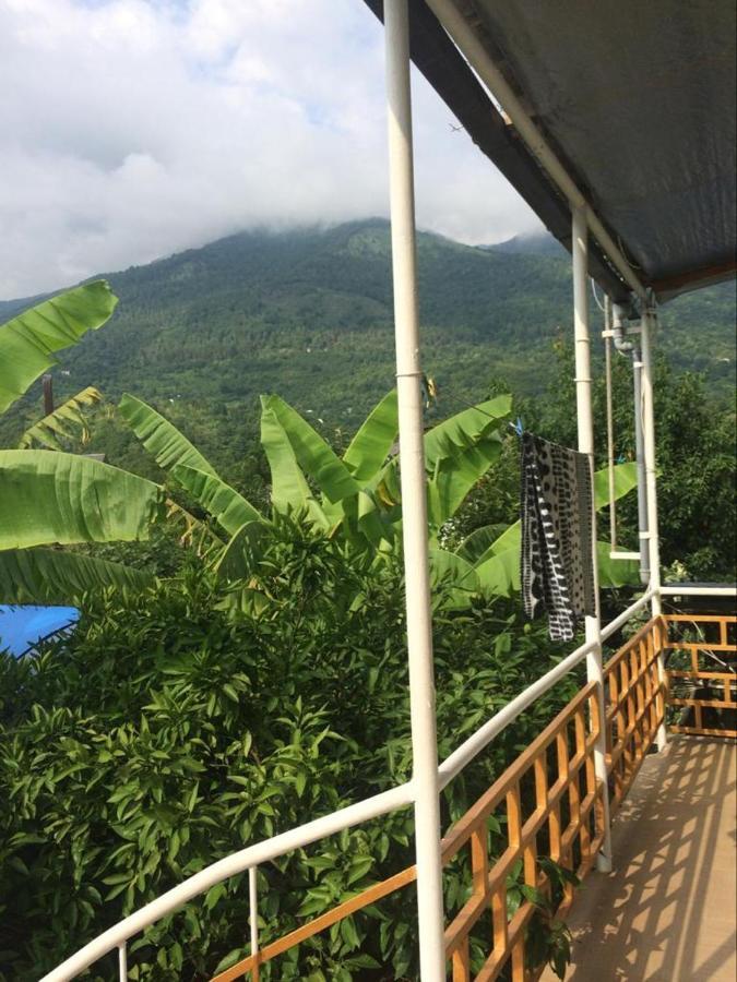 Гостевой Дом У Левы Hotel Gagra Esterno foto