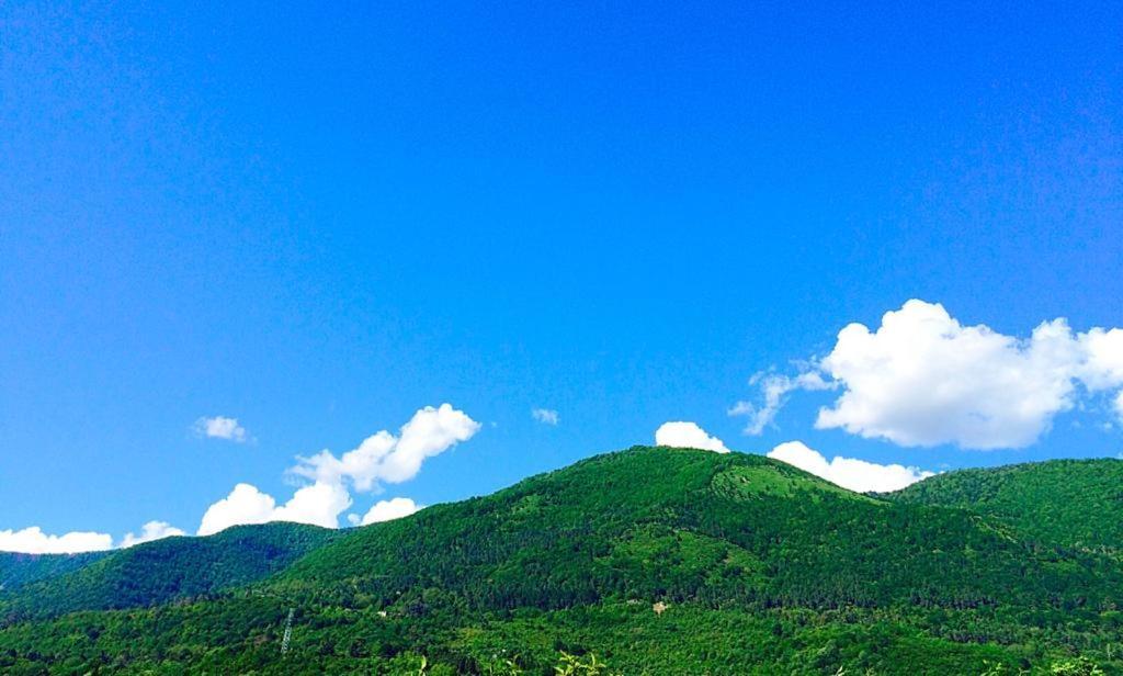 Гостевой Дом У Левы Hotel Gagra Esterno foto